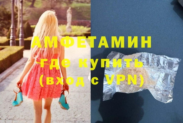крисы Абаза