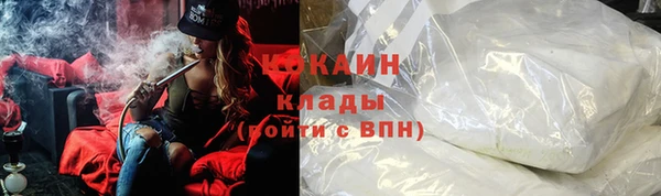 крисы Абаза