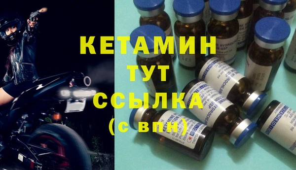 крисы Абаза