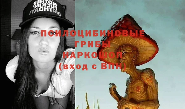 винт Абинск