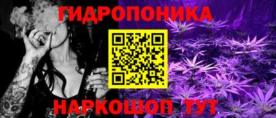 спиды Лесосибирск