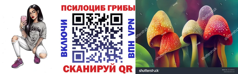 Галлюциногенные грибы Magic Shrooms  Егорьевск 